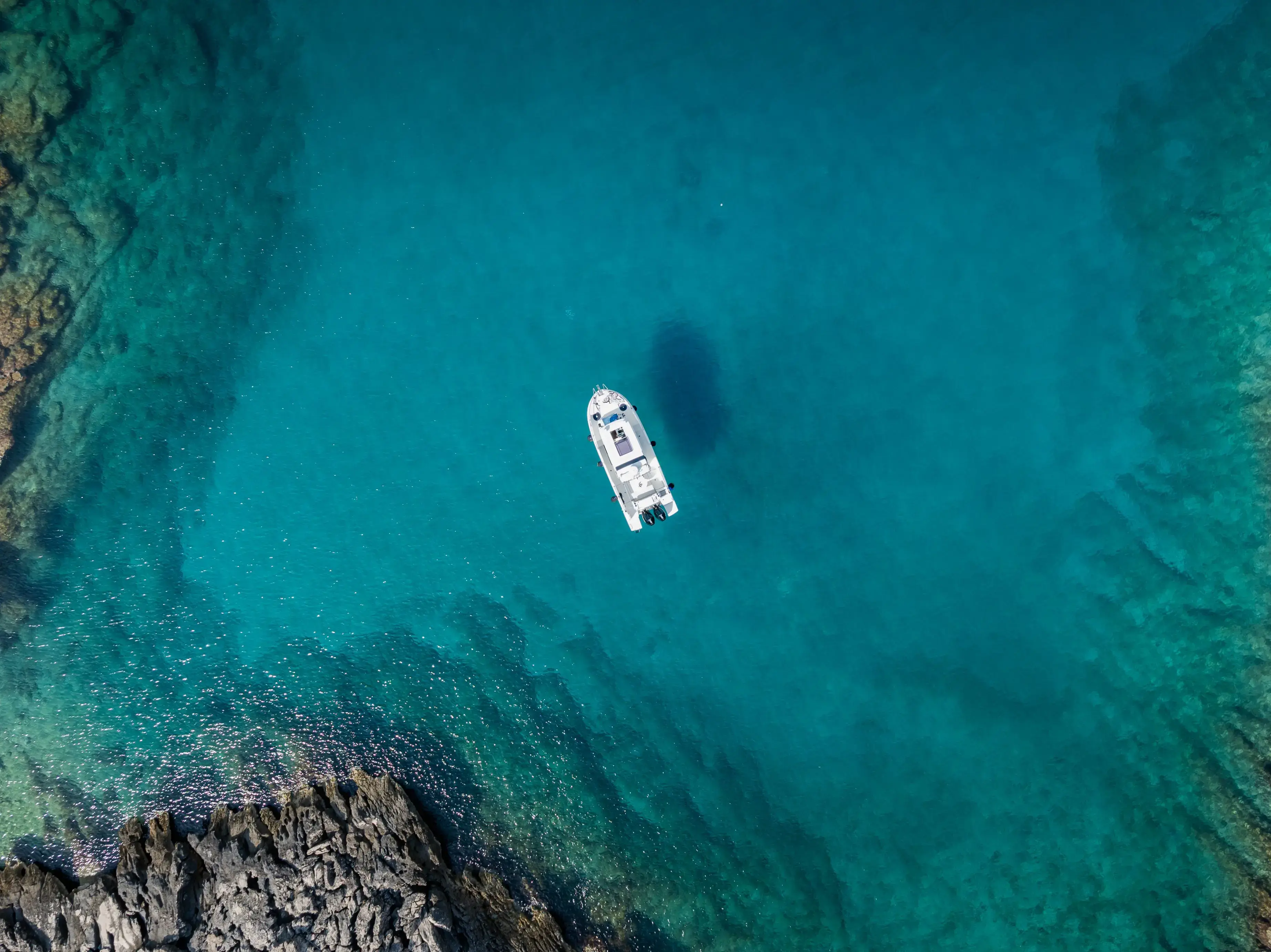 Whisper thumbnail 14