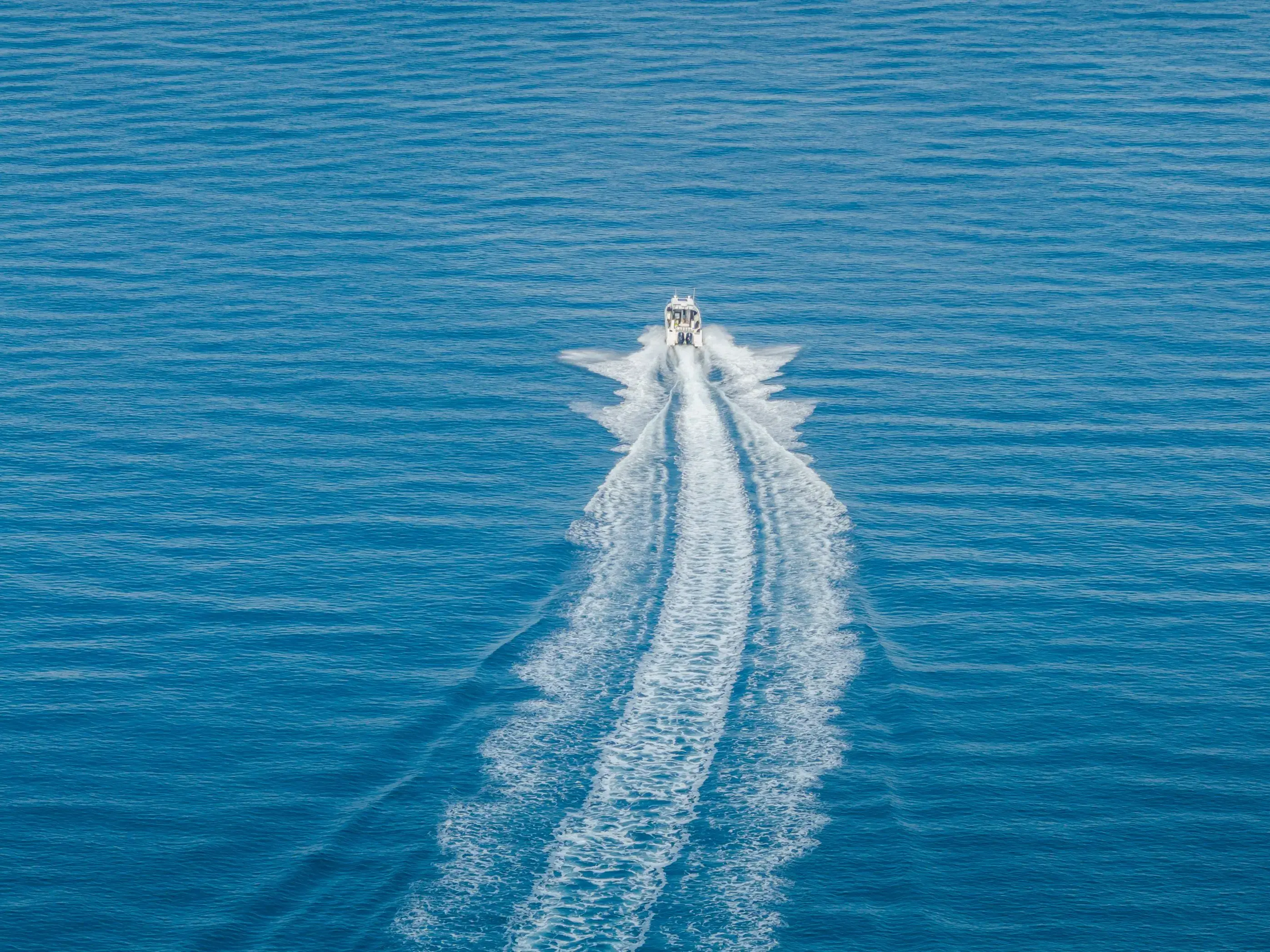 Whisper thumbnail 16