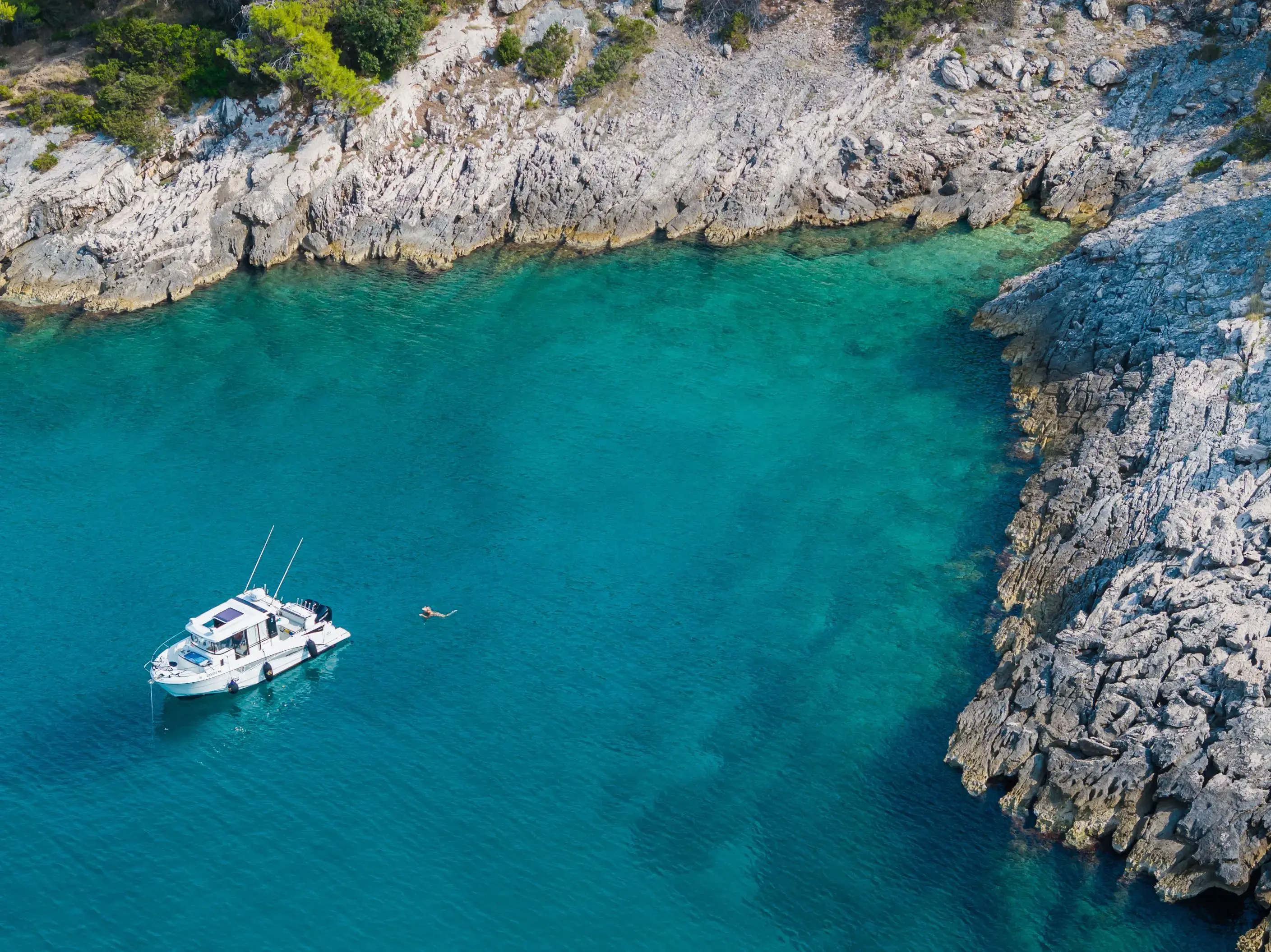 Whisper thumbnail 37