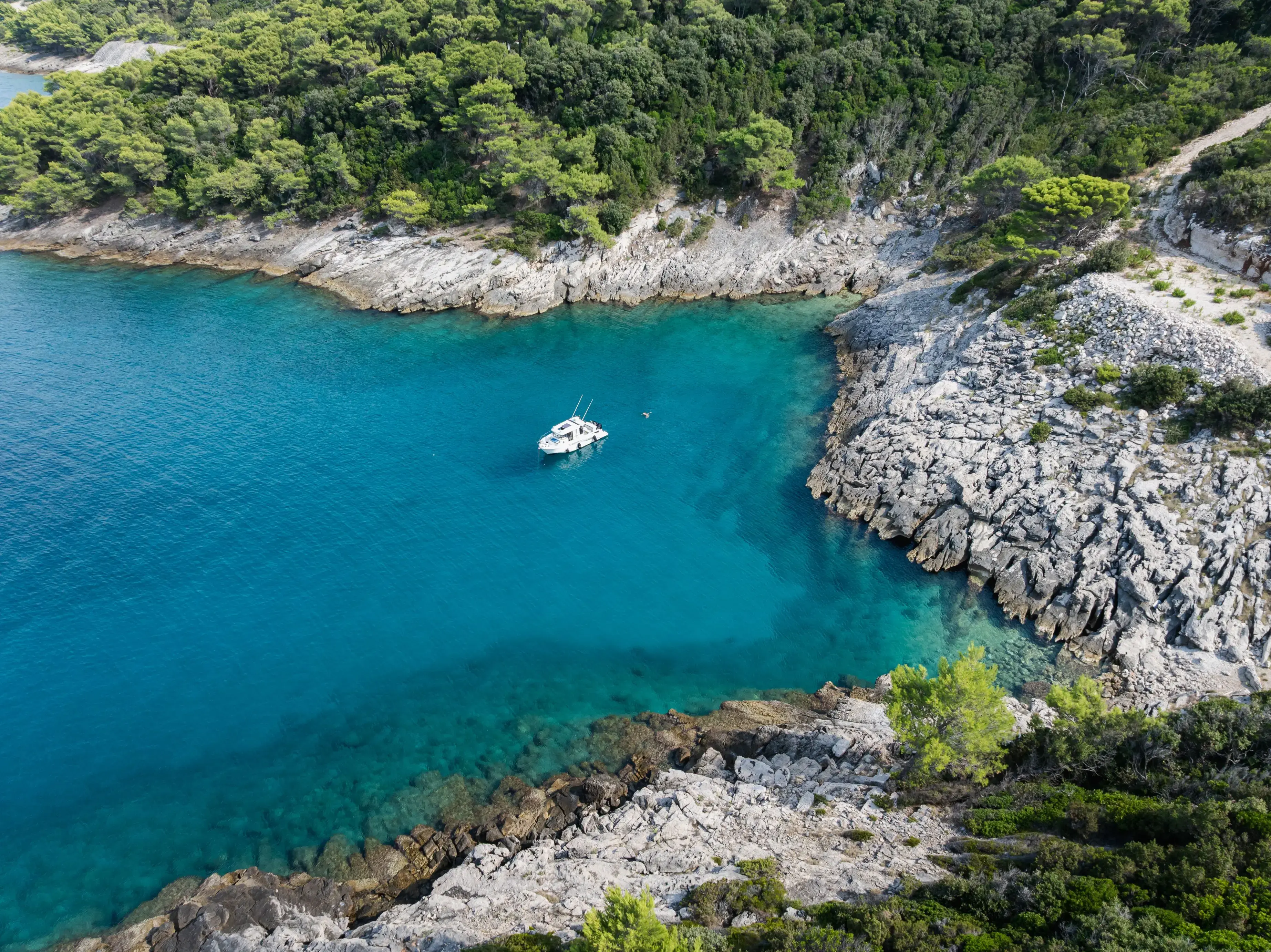 Whisper thumbnail 45