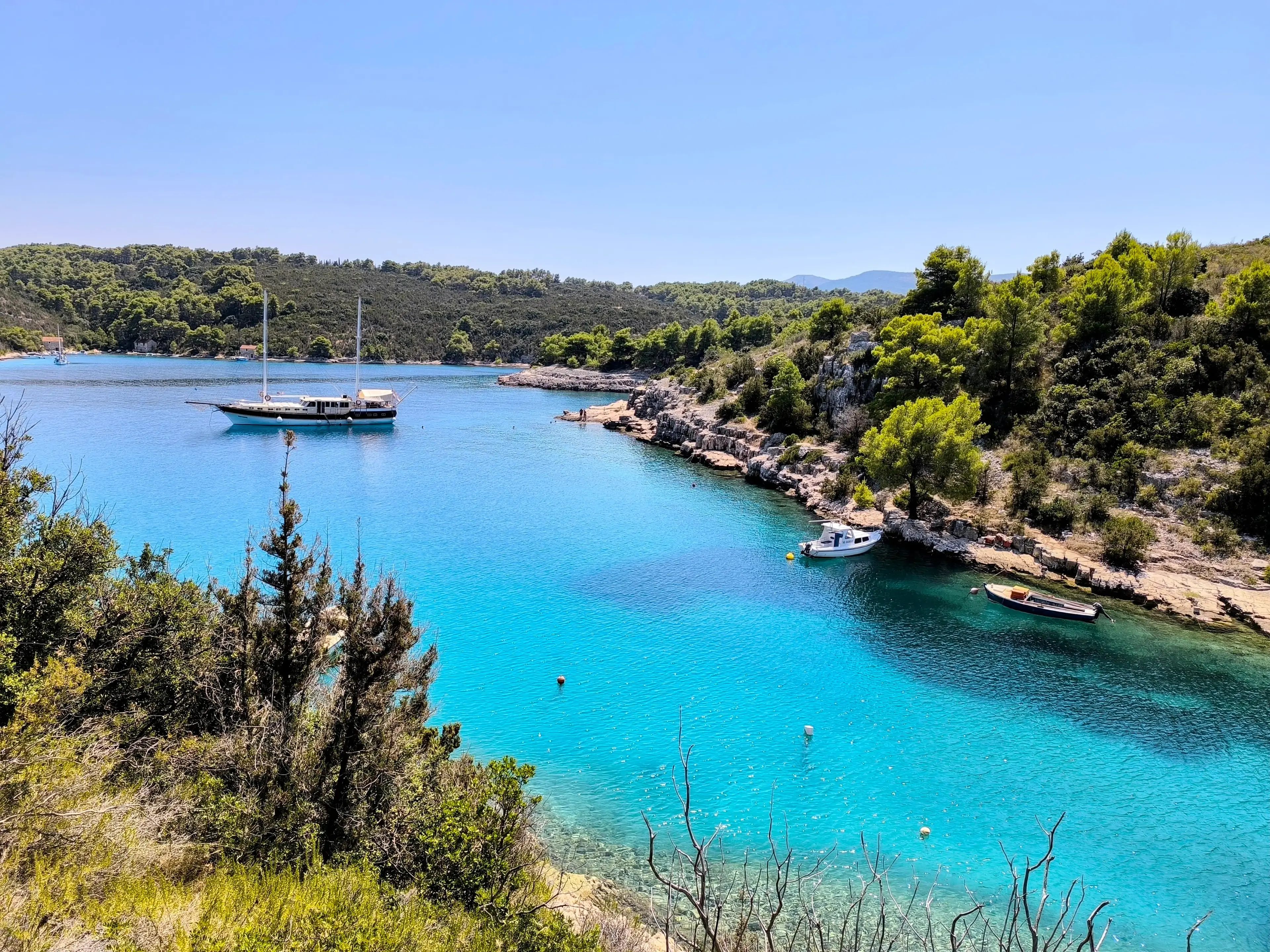 Premium thumbnail 13