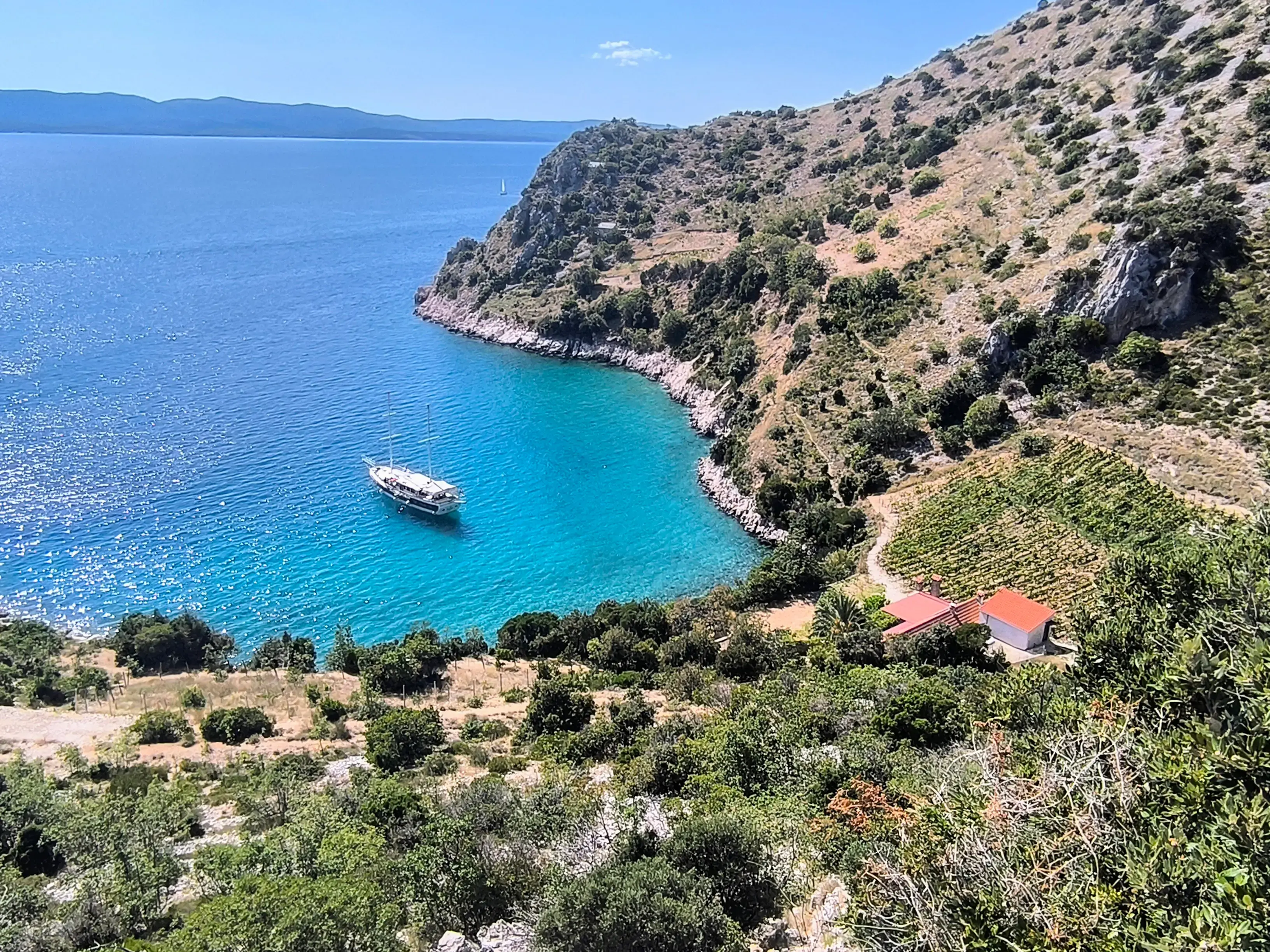 Premium thumbnail 14