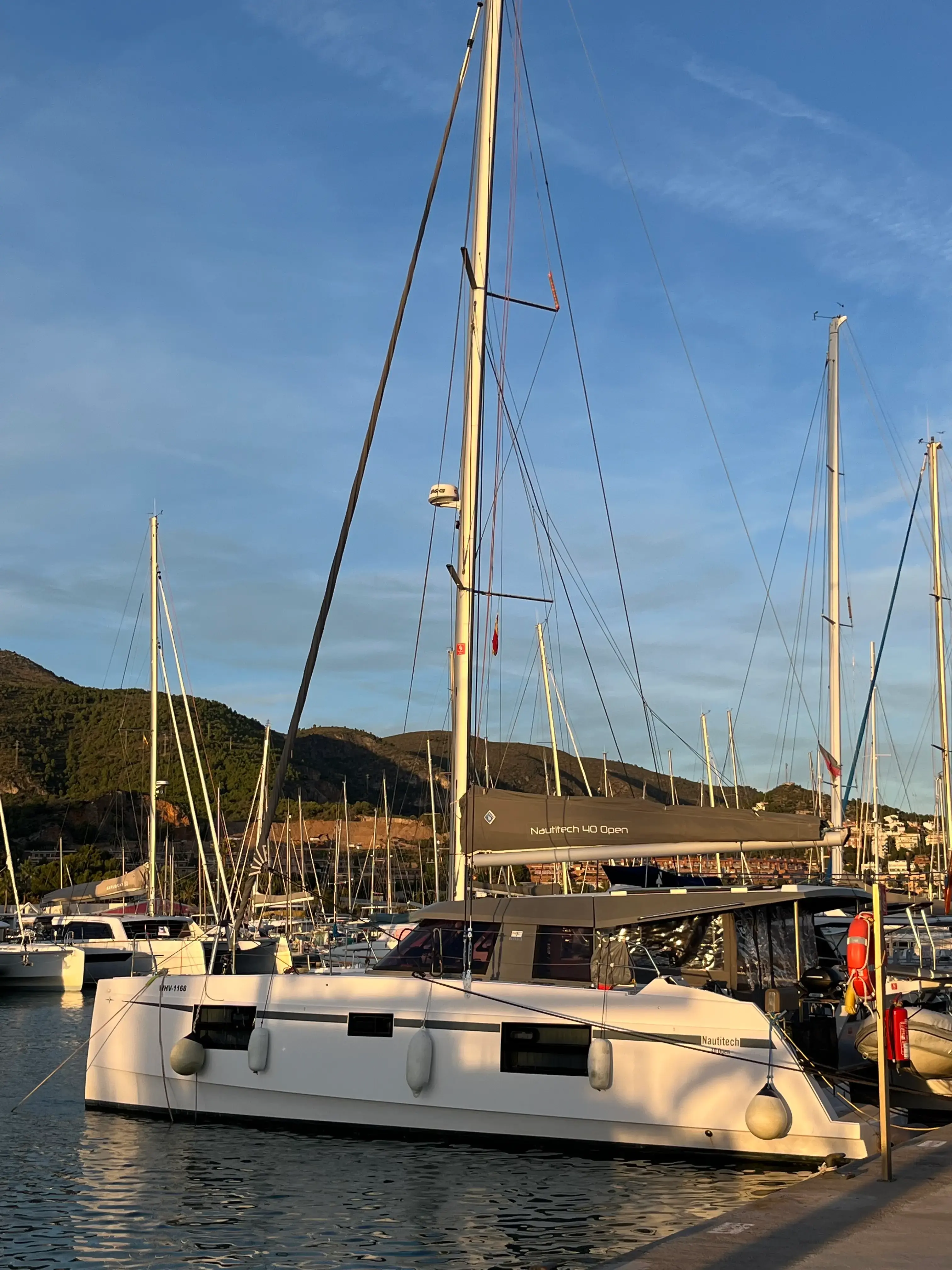 Lollo III thumbnail 4