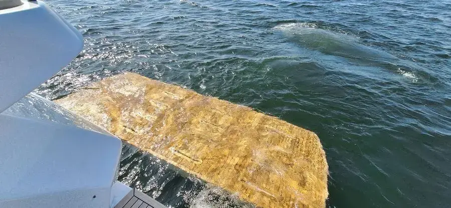 Sabijac thumbnail 19