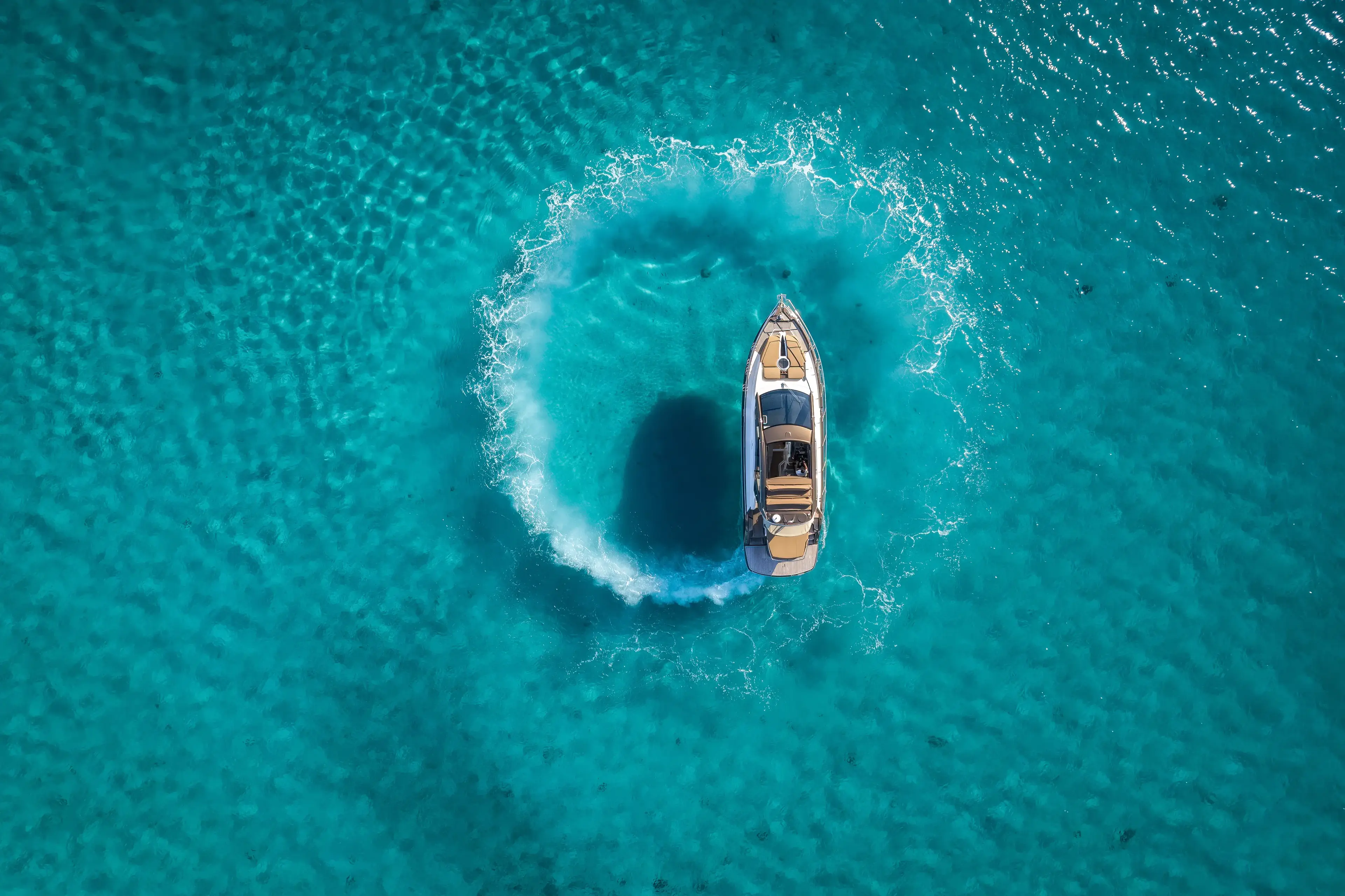 Principote thumbnail 7