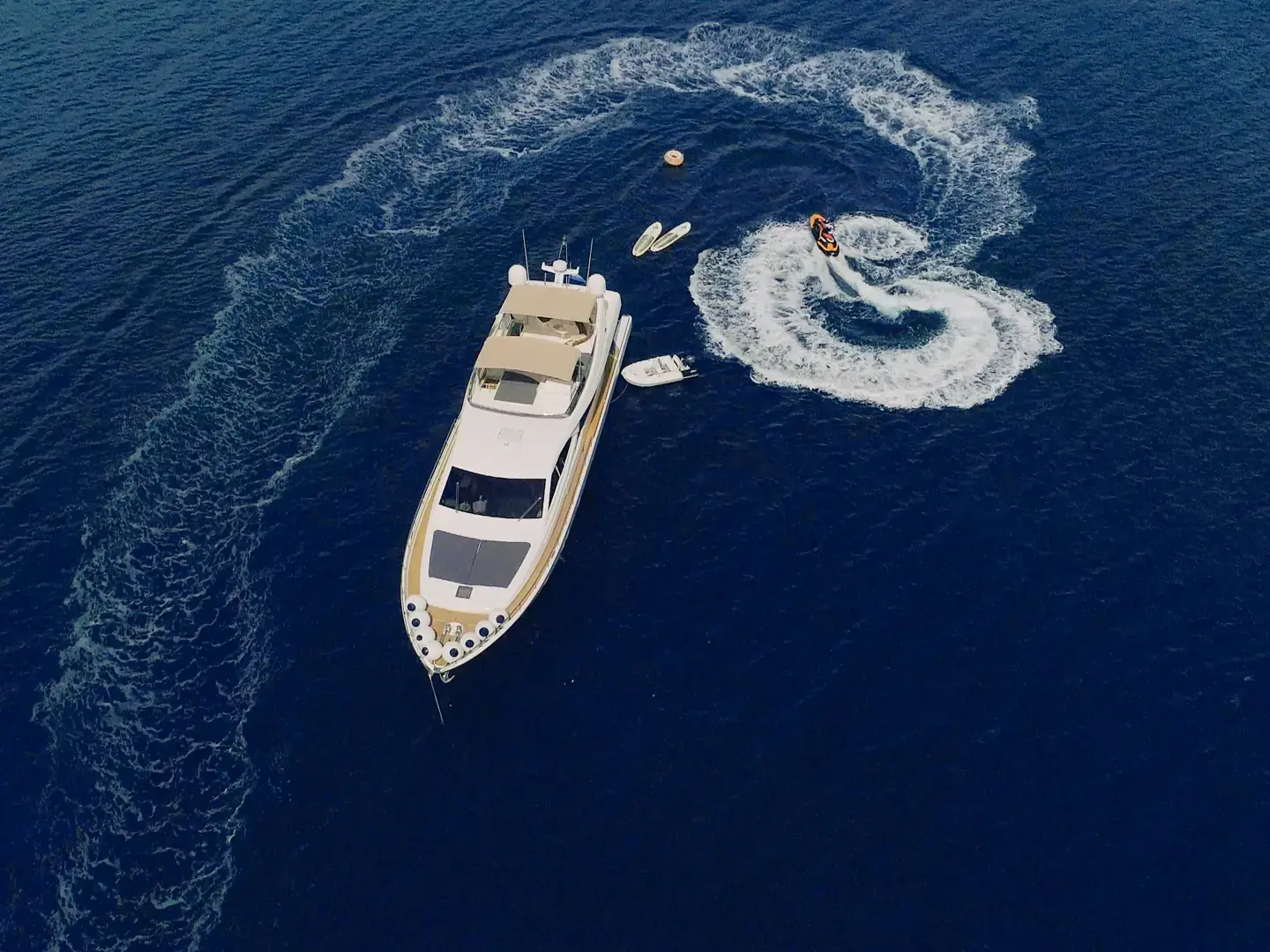 Orlando L thumbnail 2