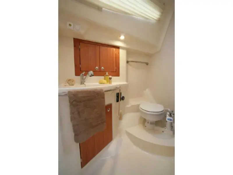 Sea Bird thumbnail 5