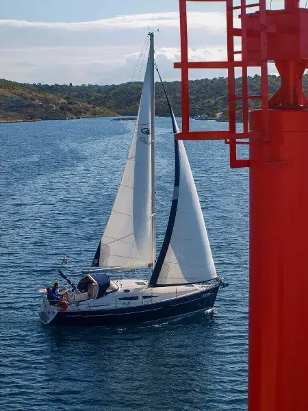 Sea Bird thumbnail 6