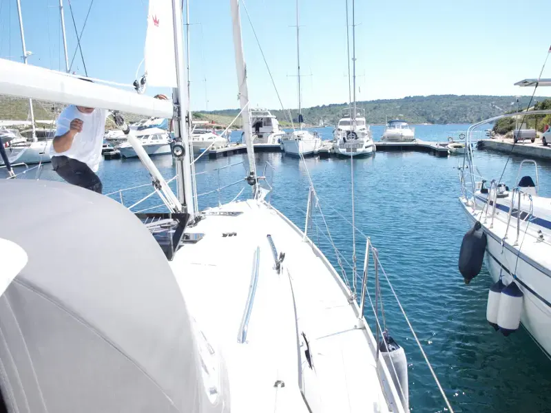 Sea Lion thumbnail 8