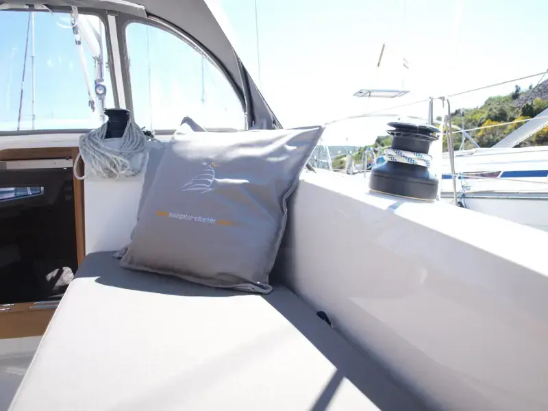 Sea Lion thumbnail 11