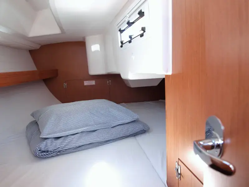 Sea Lion thumbnail 15