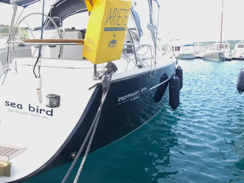 Sea Bird thumbnail 7