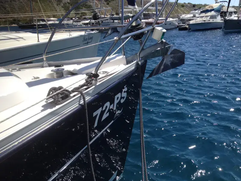 Sea Bird thumbnail 9