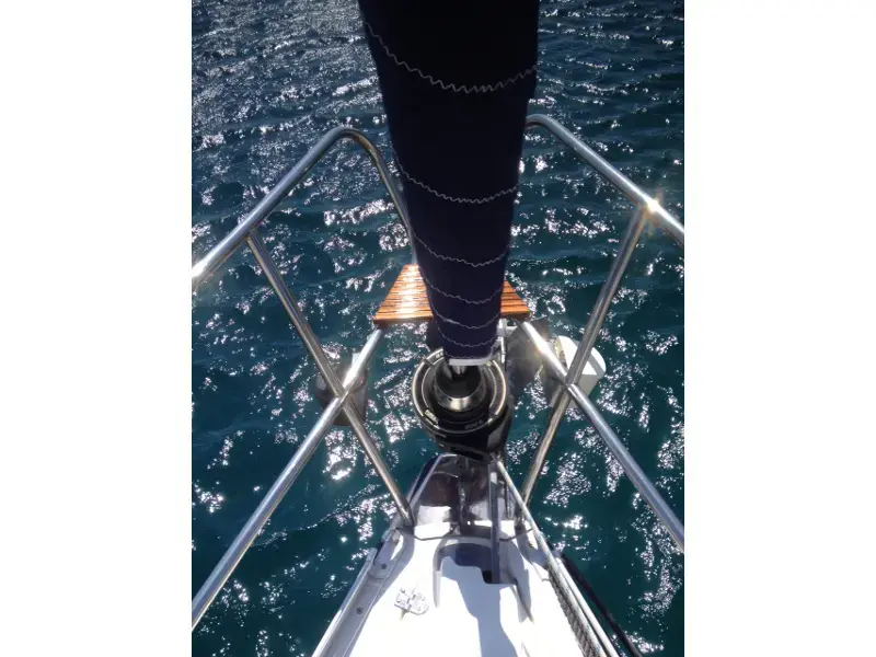 Sea Bird thumbnail 10