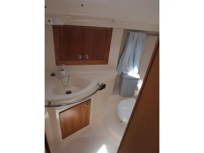 Sea Bird thumbnail 14