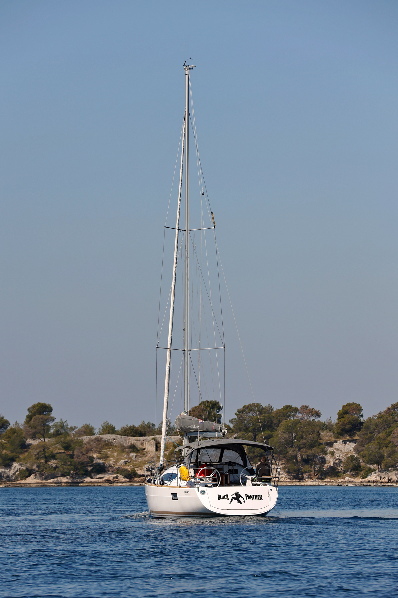 Black Panther photo 1