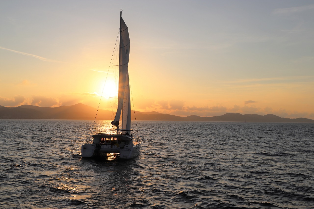 Michelangelo photo 1