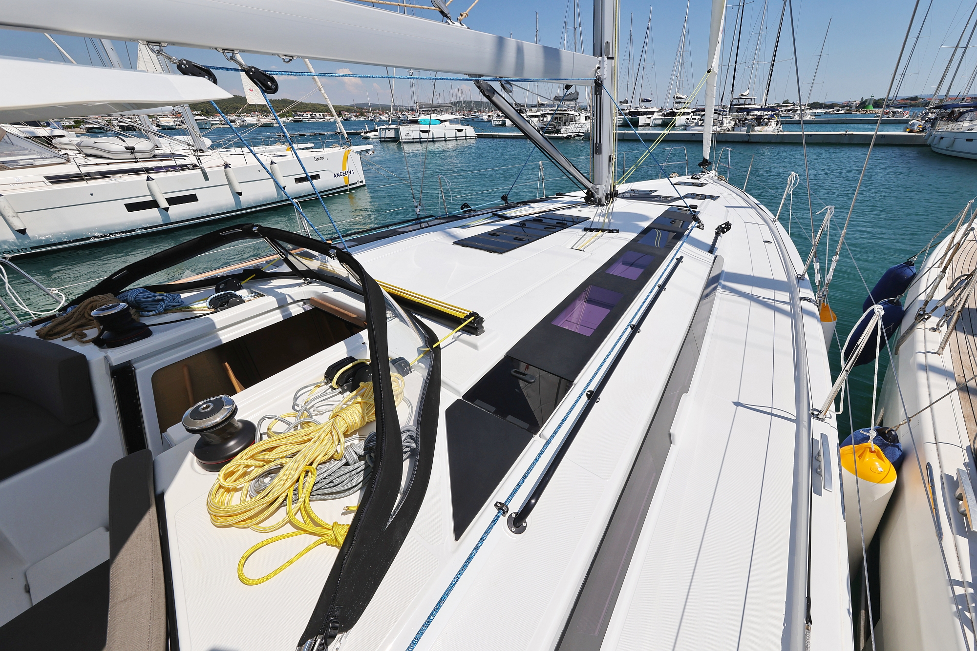 Ocean Rose preview 4