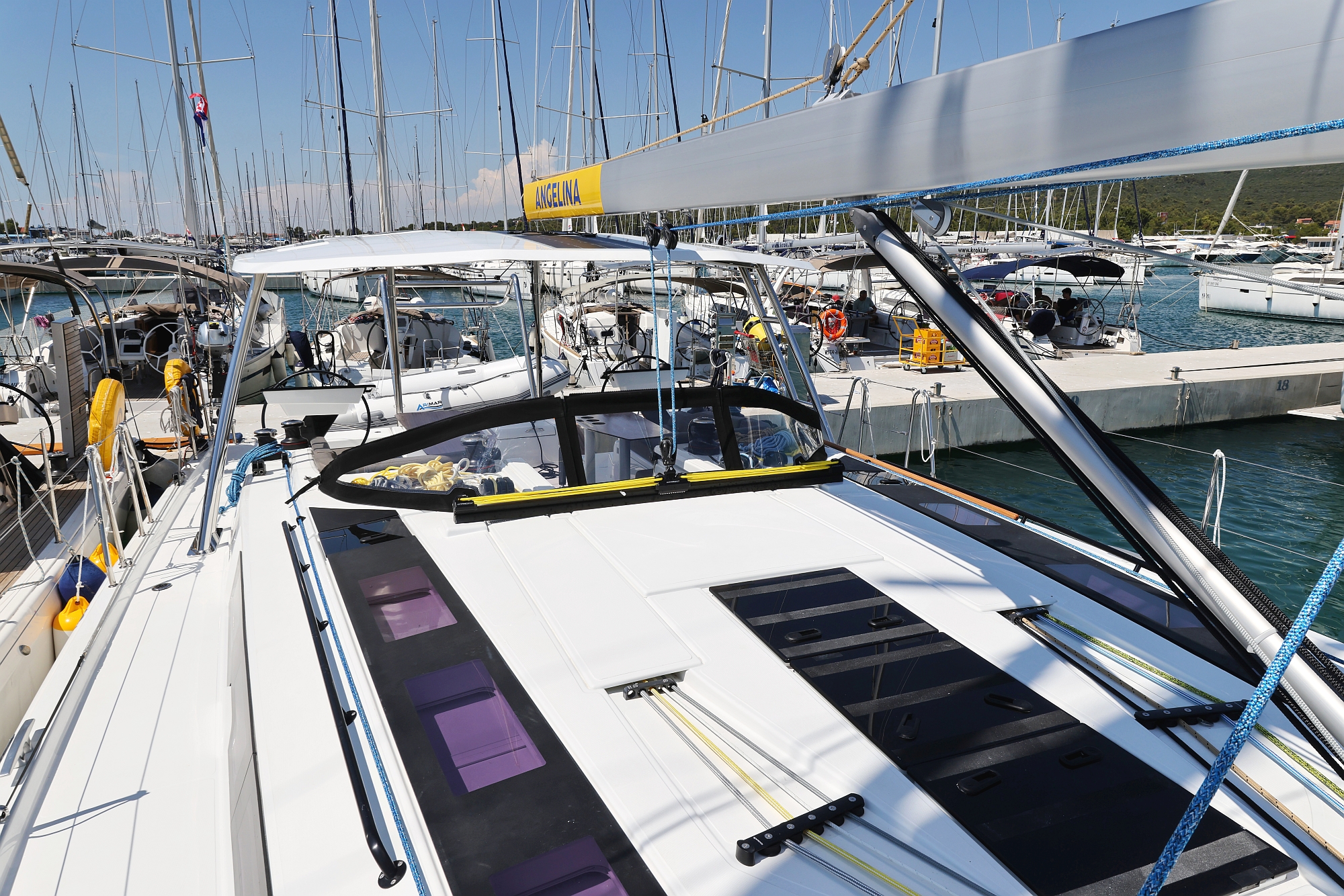 Ocean Rose preview 5