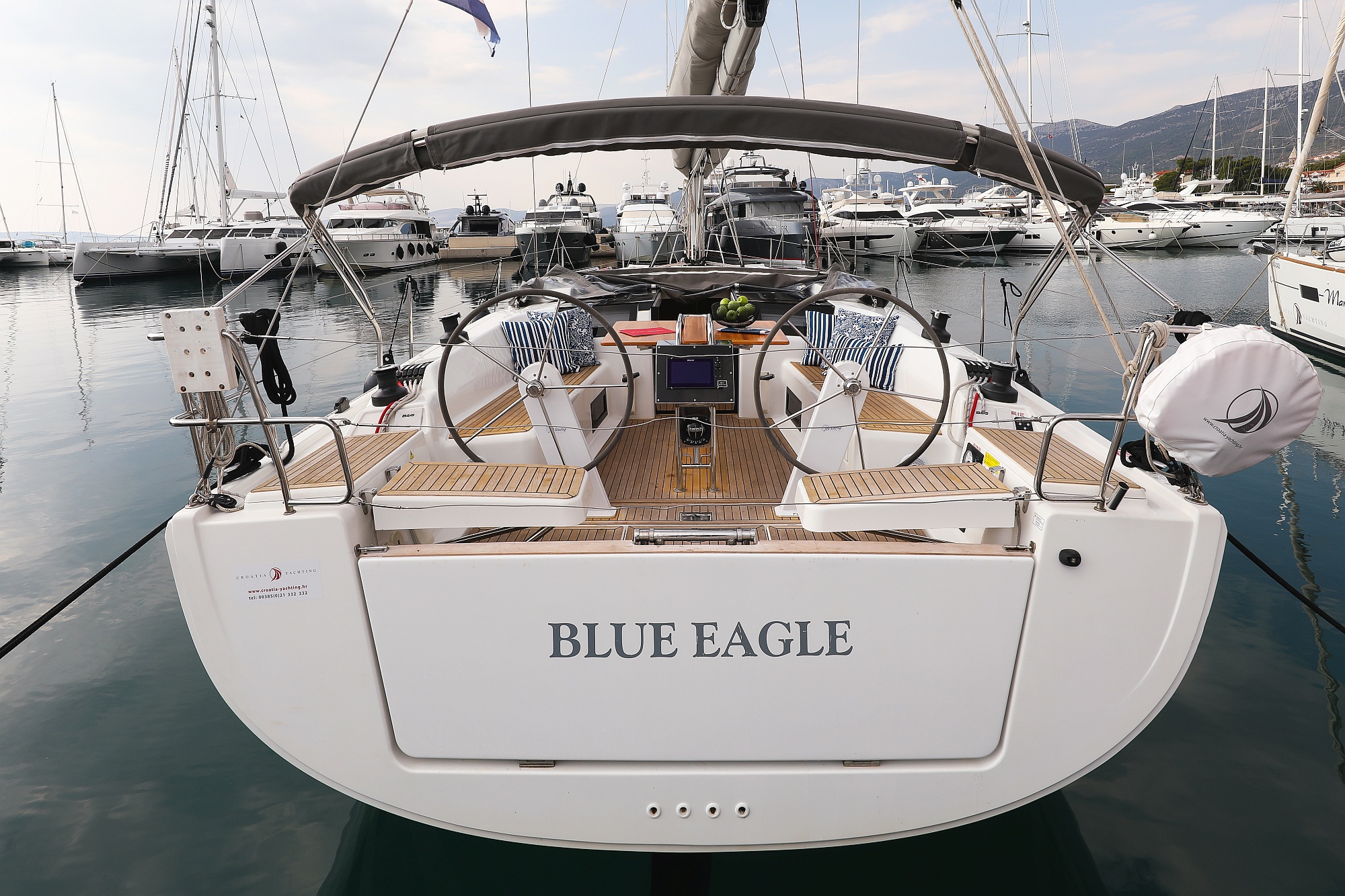 Blue Eagle photo 1