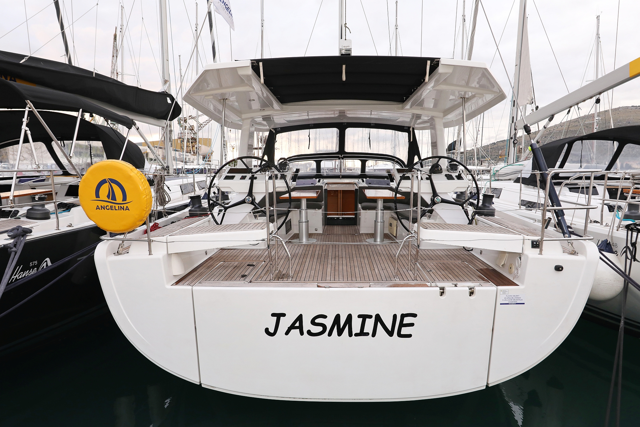 Jasmine photo 1