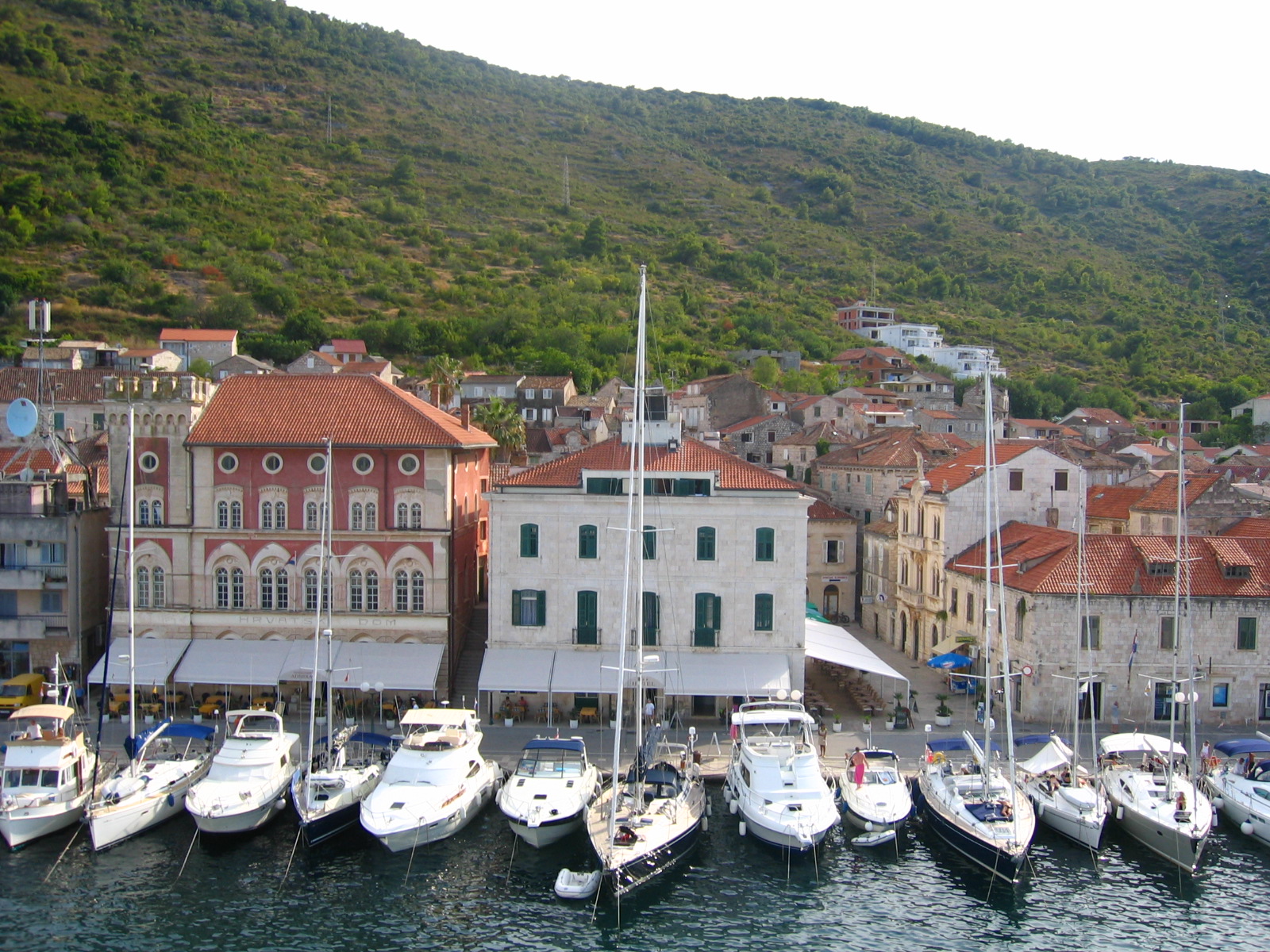 Vis